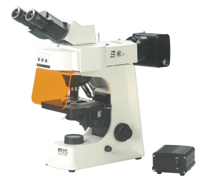Fluorescence Microscopes