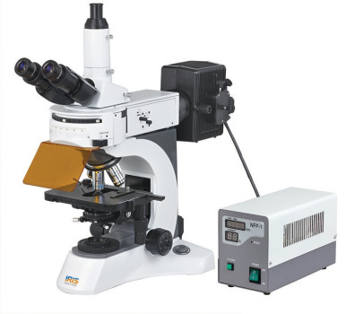 Upright Fluorescence Microscope Mf-2000 Series